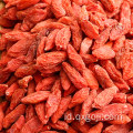 AD mengeringkan buah goji berry merah wolfberries